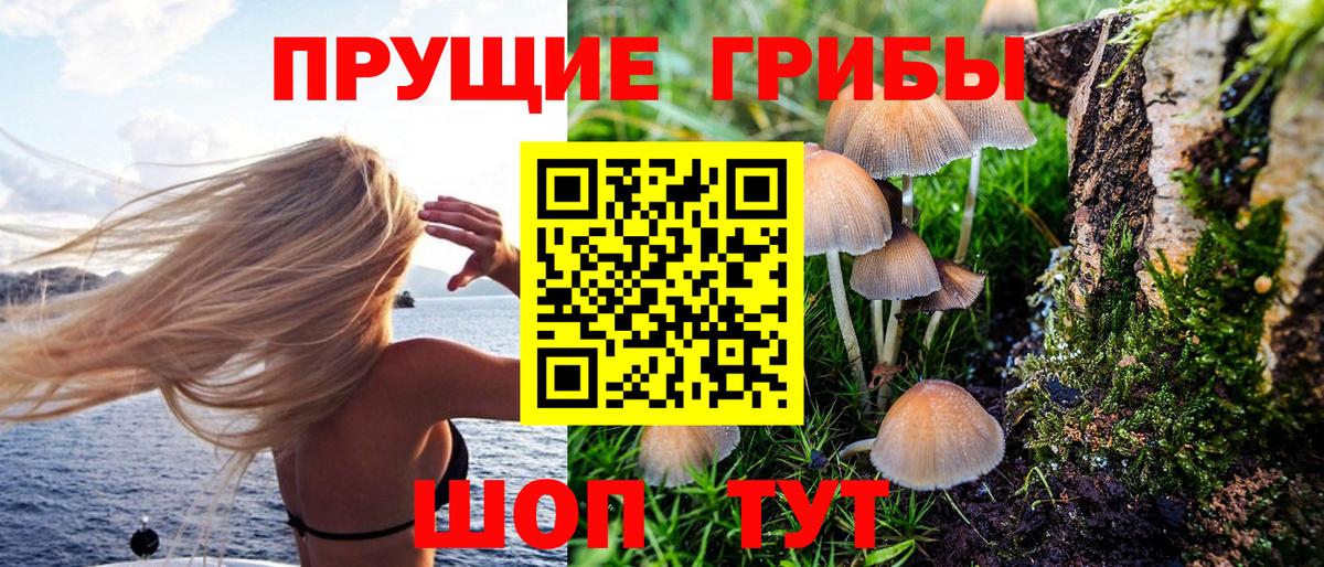 Псилоцибиновые грибы MAGIC MUSHROOMS Балабаново