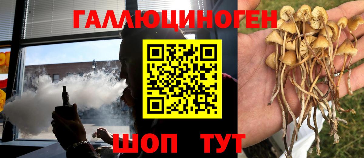 Балабаново  Псилоцибиновые грибы мухоморы  Вход с VPN 